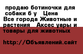 продаю ботиночки для собаки б/у › Цена ­ 600 - Все города Животные и растения » Аксесcуары и товары для животных   